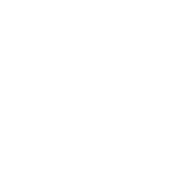 Poulan PRO